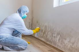 Best Comprehensive Air Testing for Mold Contaminants  in Hampton, AR