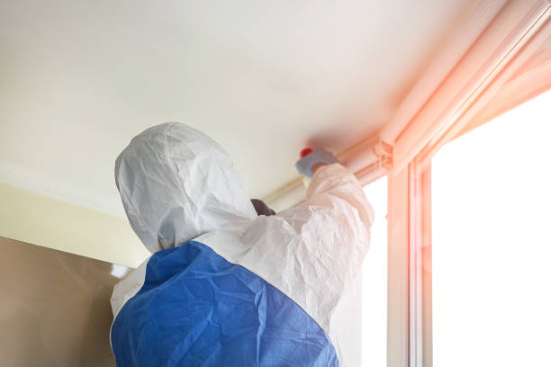 Best Asbestos and Lead Testing During Mold Inspection  in Hampton, AR